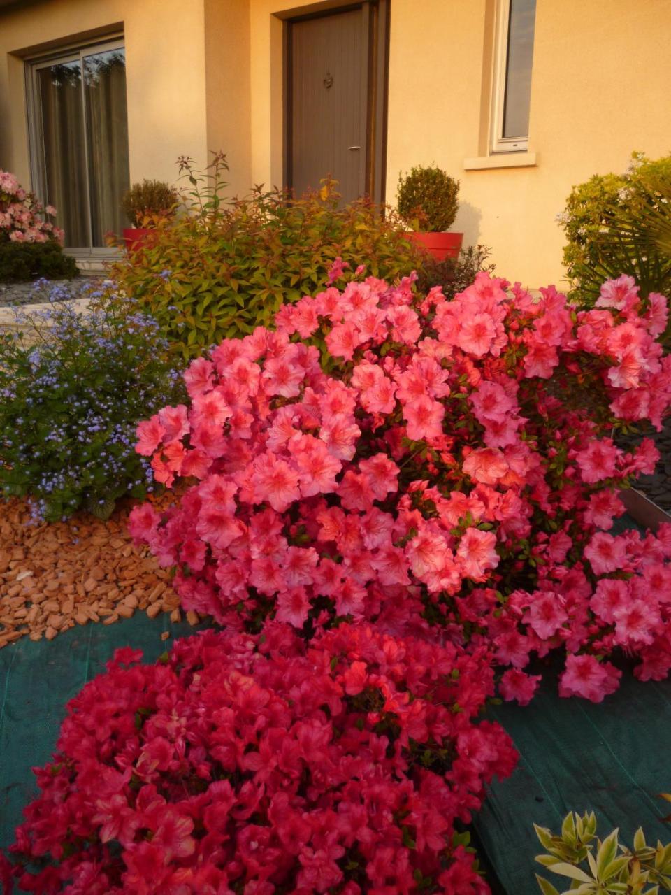 Chez Bernard Et Nicole Bed and Breakfast Betton Εξωτερικό φωτογραφία